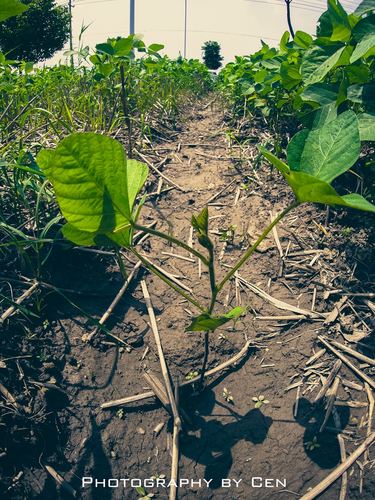 大热天闲逛随拍