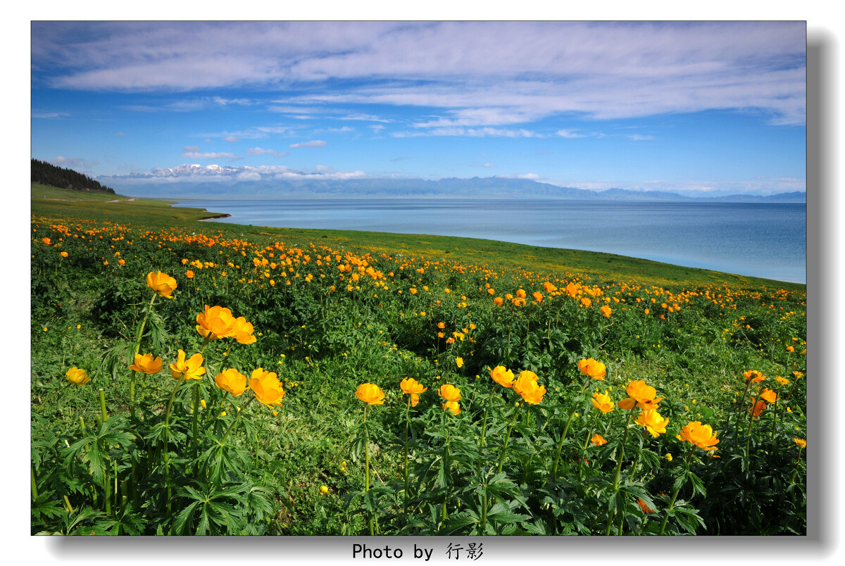 【赛里木湖】-人间天堂