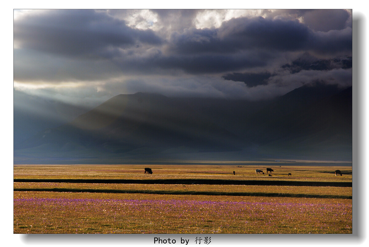 【赛里木湖】-人间天堂