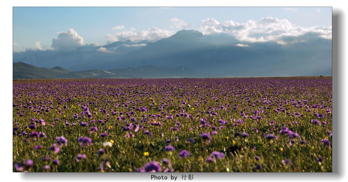 【赛里木湖】-人间天堂