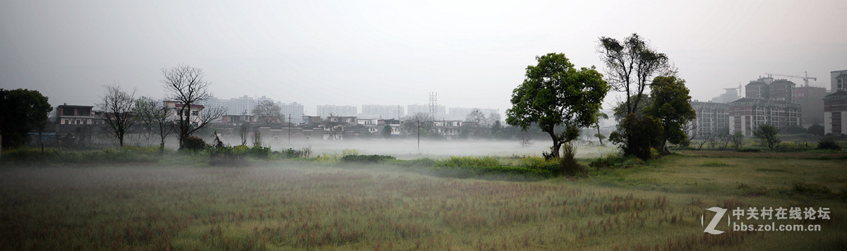 玩几片小雾景片片