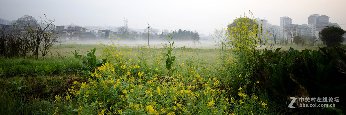 玩几片小雾景片片