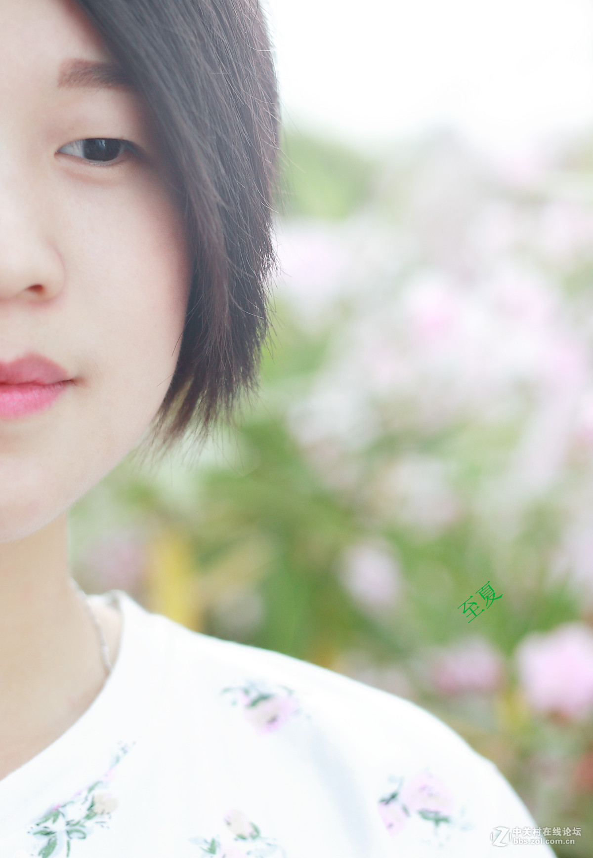 至夏 - - (兔子-小痰盂-大眼睛)