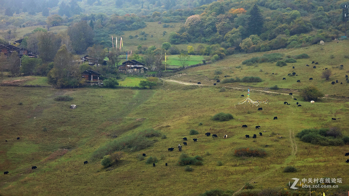 走进藏寨——中渣沟