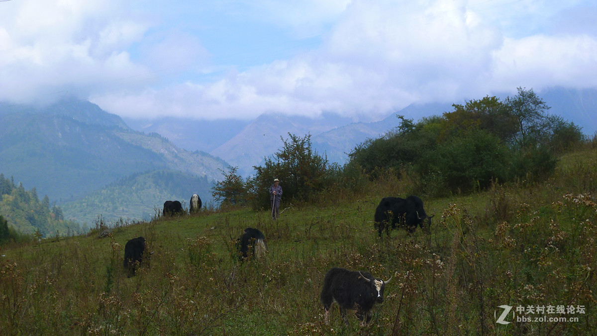 走进藏寨——中渣沟