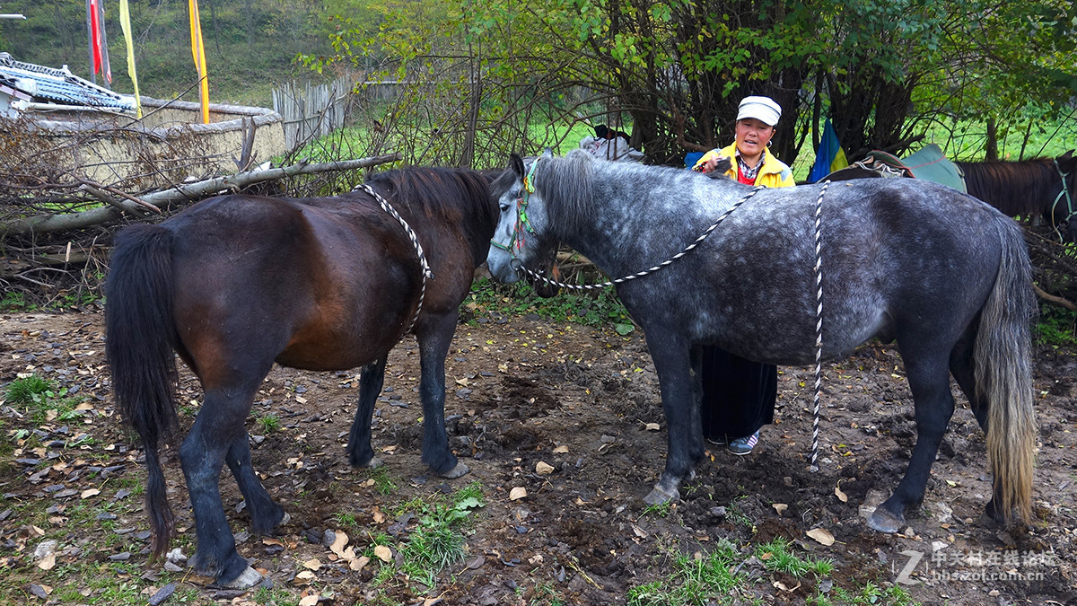 走进藏寨——中渣沟