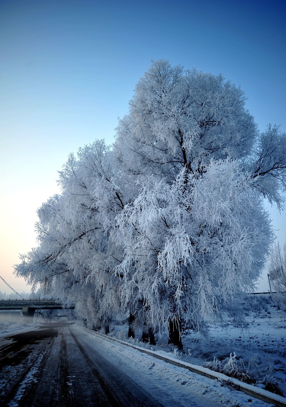 2020年雪景