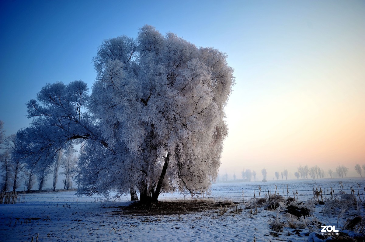 雪景