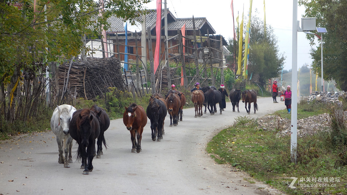 走进藏寨——中渣沟