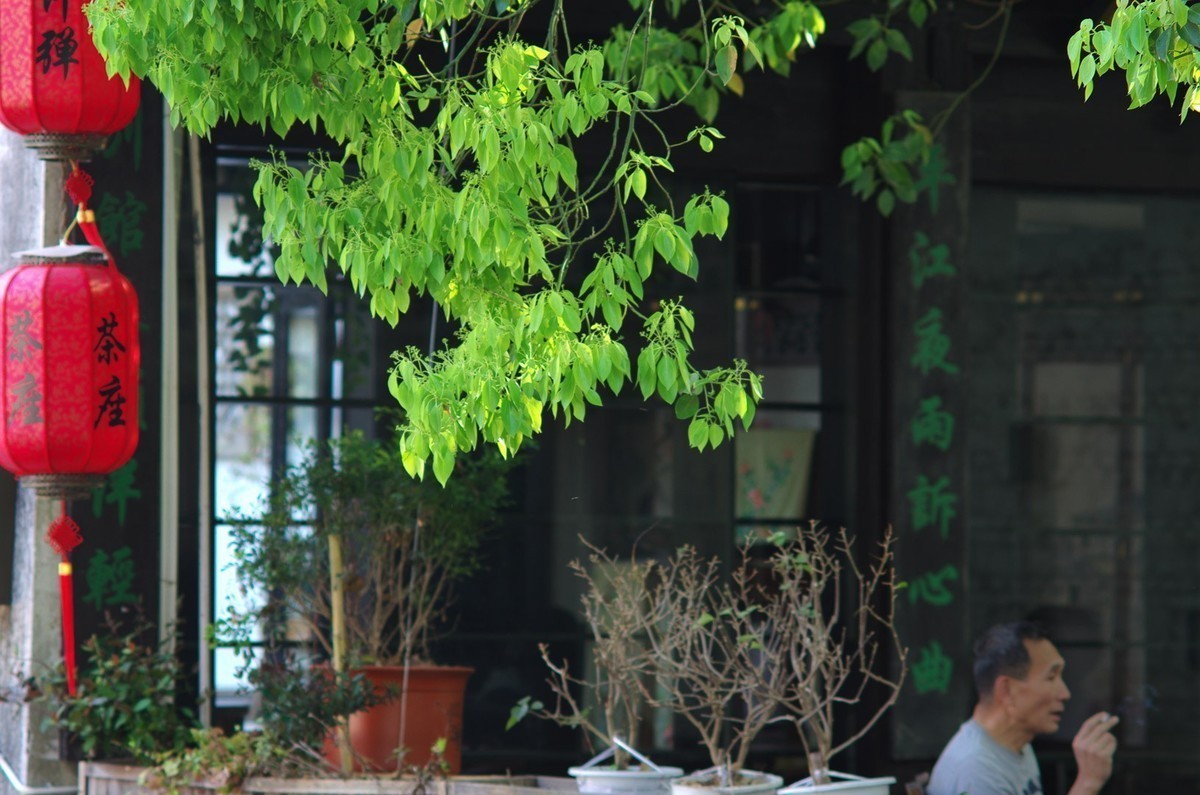 平江春光  与君共赏