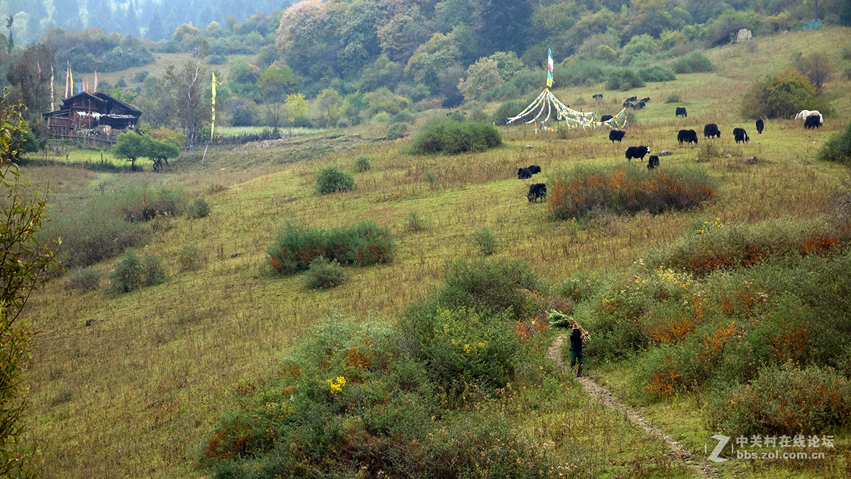 走进藏寨——中渣沟