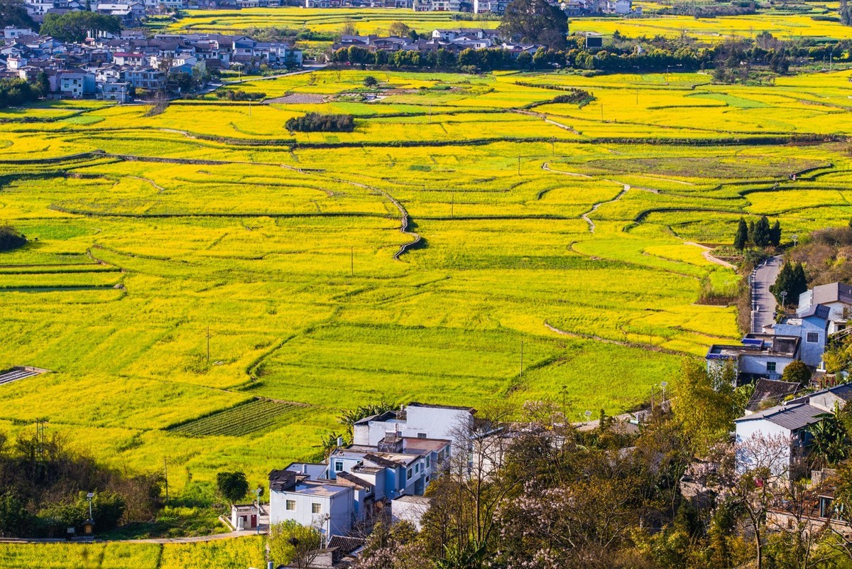 彩云之南之贵州兴义------遥看下纳灰村