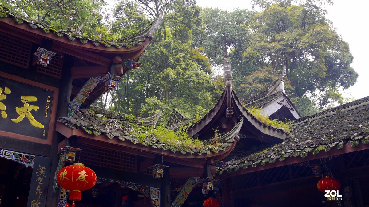 游道教名山---青城山-中关村在线摄影论坛