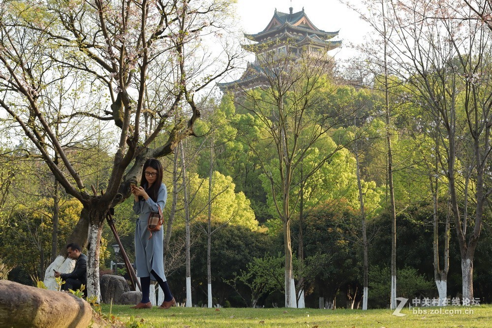 佳能M50和EF50  1.4的体验