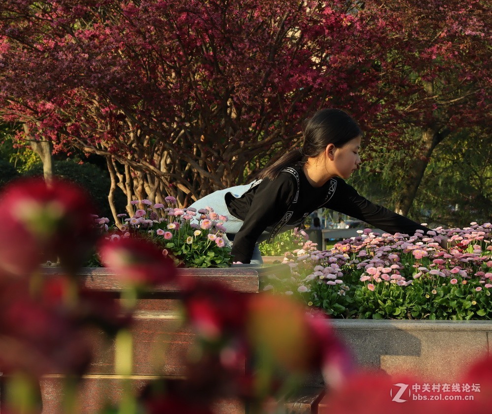 佳能M50和EF50  1.4的体验