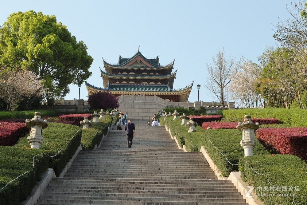 佳能M50和EF50  1.4的体验