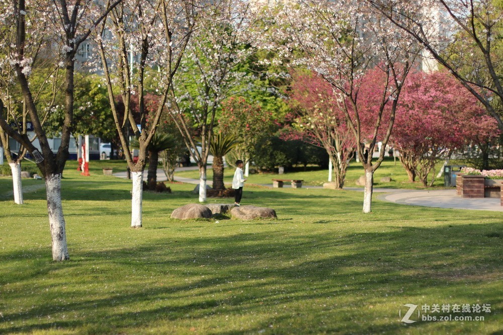 佳能M50和EF50  1.4的体验