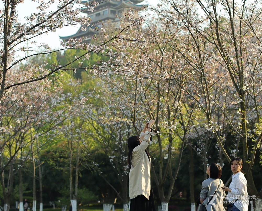 佳能M50和EF50  1.4的体验