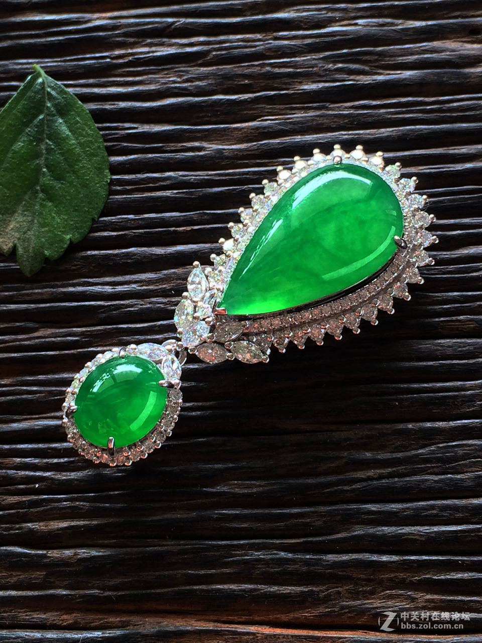 绿茵茵的东西我太喜欢了