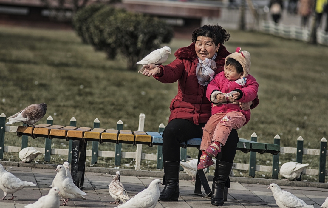 #尼康纪实类作品赏析#【行摄金城之大街小巷】 （老阿推荐）