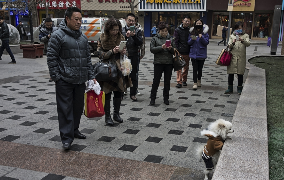 #尼康纪实类作品赏析#【行摄金城之大街小巷】 （老阿推荐）