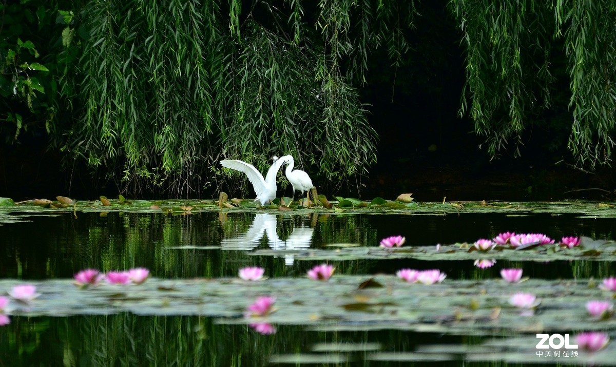 妈妈的鼓励“勇敢     坚强     放飞”