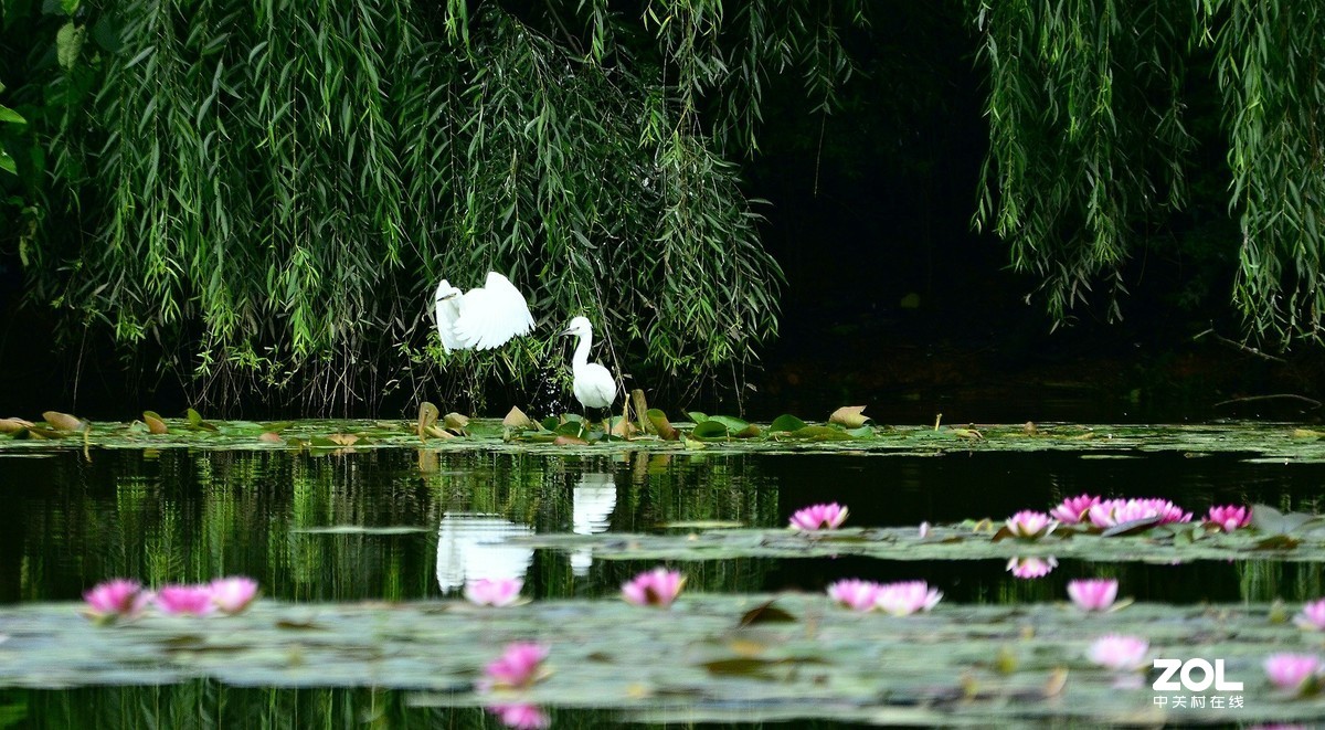 妈妈的鼓励“勇敢     坚强     放飞”