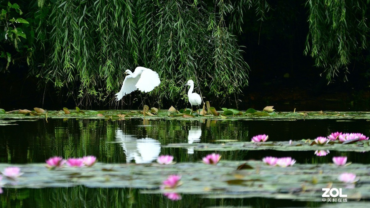 妈妈的鼓励“勇敢     坚强     放飞”