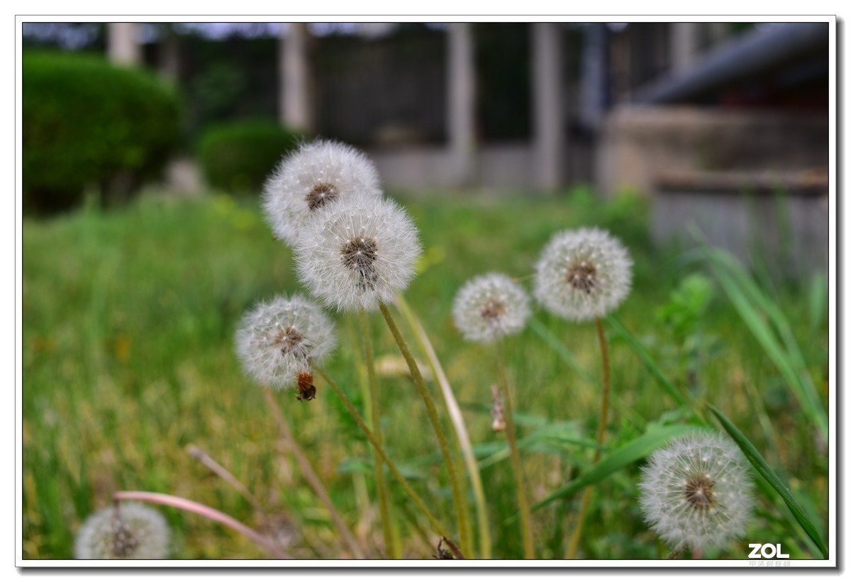 D750和35mm f2n