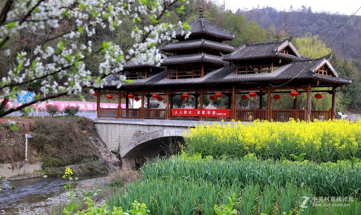 路过凤桥村随拍