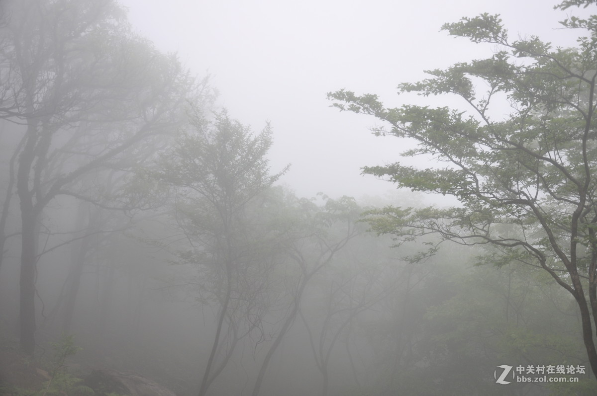 尼康D90加套头拍连云港云台上