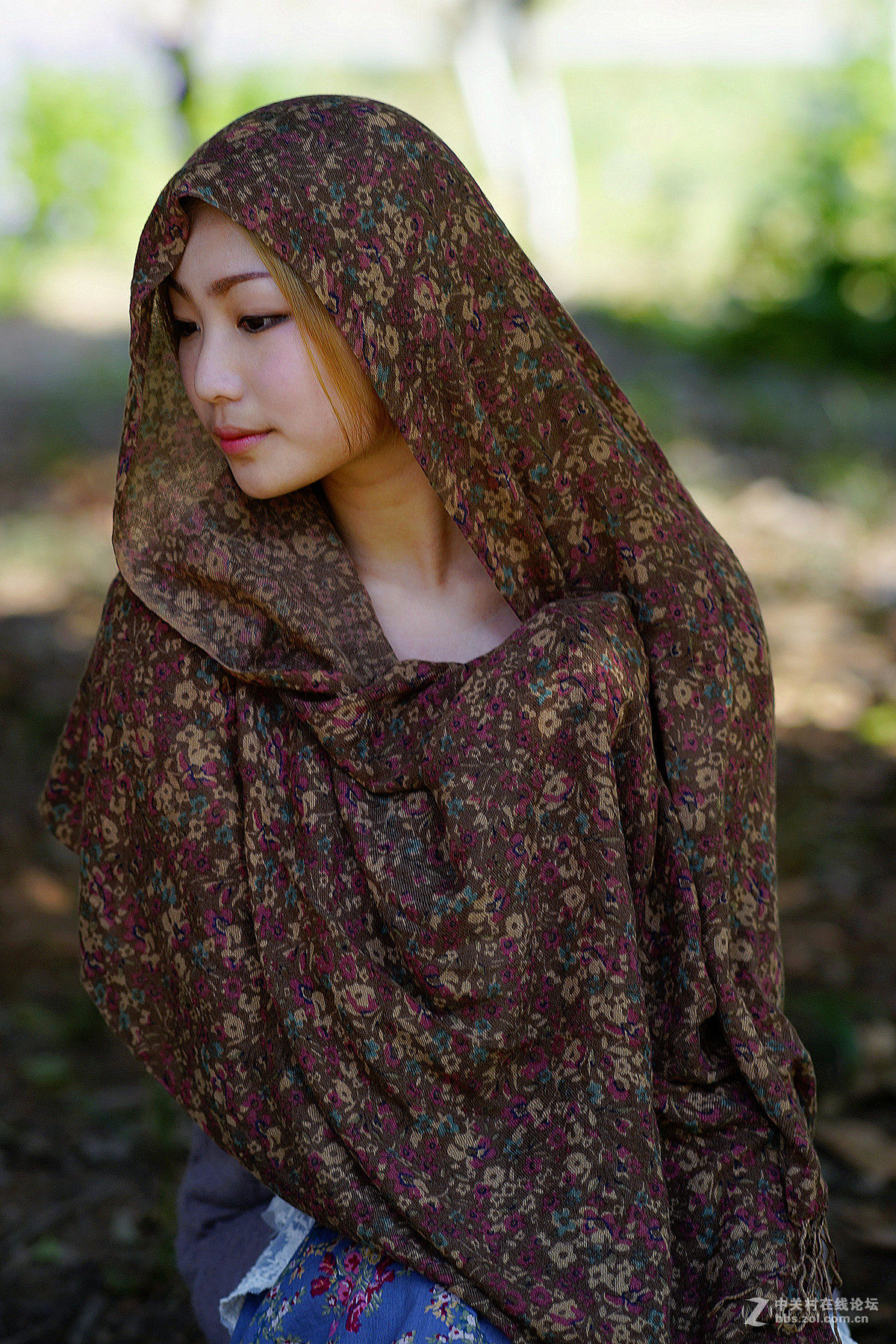 等一场春，行走在心上 （老片新发）