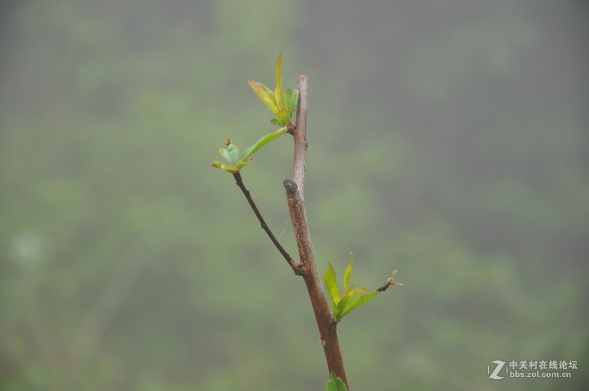 尼康D90加套头拍连云港云台上