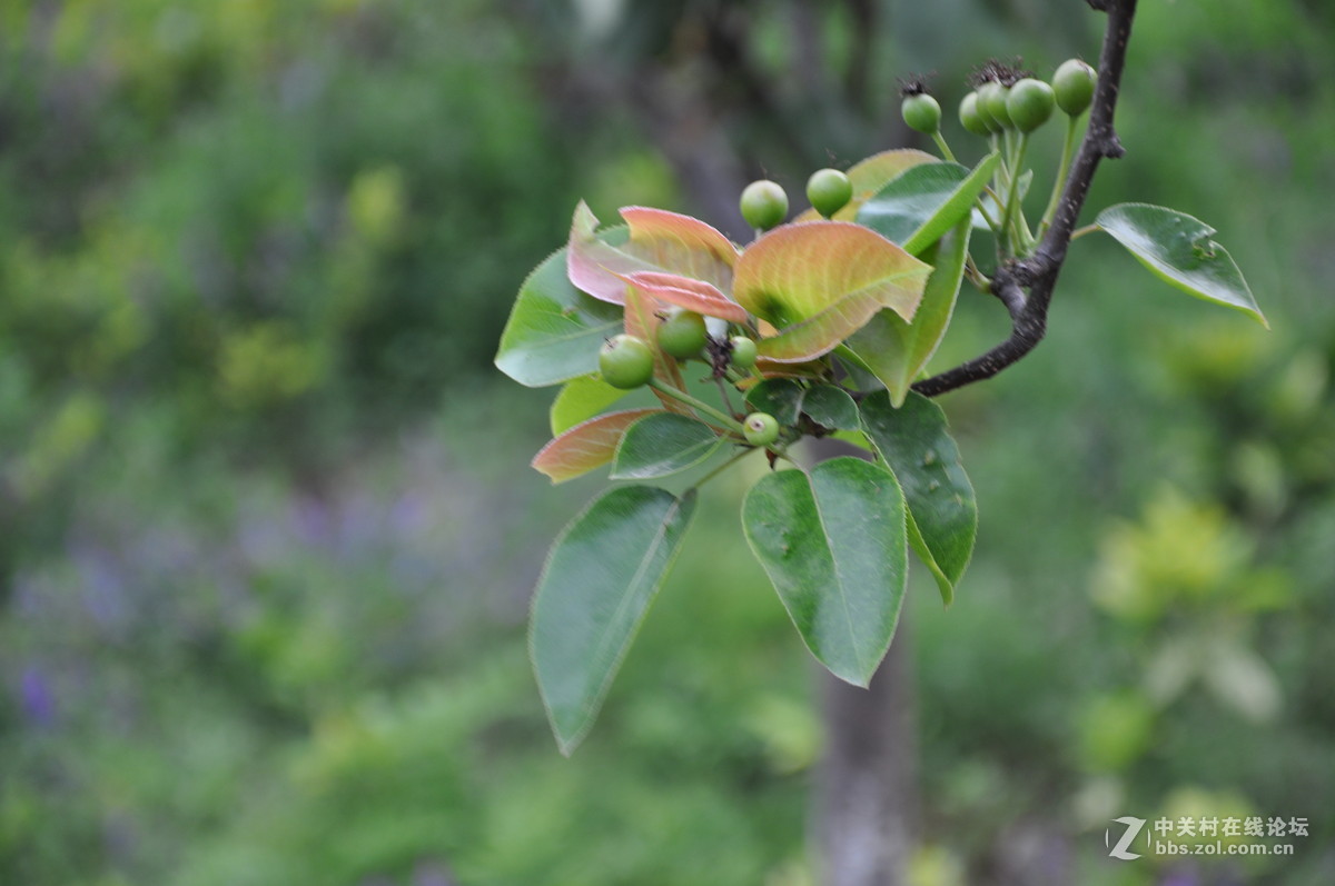 尼康D90加套头拍连云港云台上