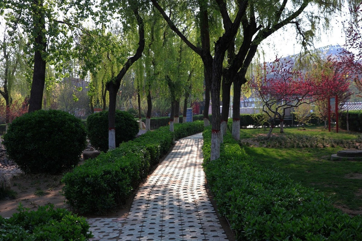 雨后初晴，梅花公园春意浓15P