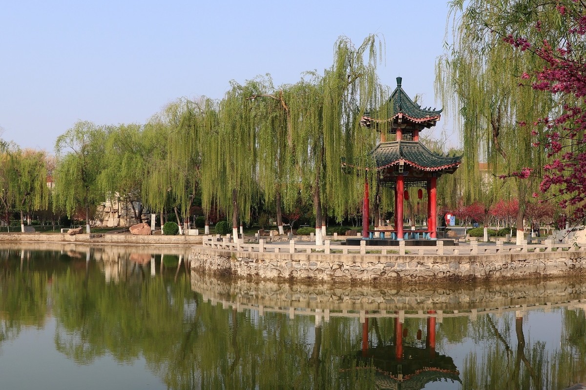 雨后初晴，梅花公园春意浓15P