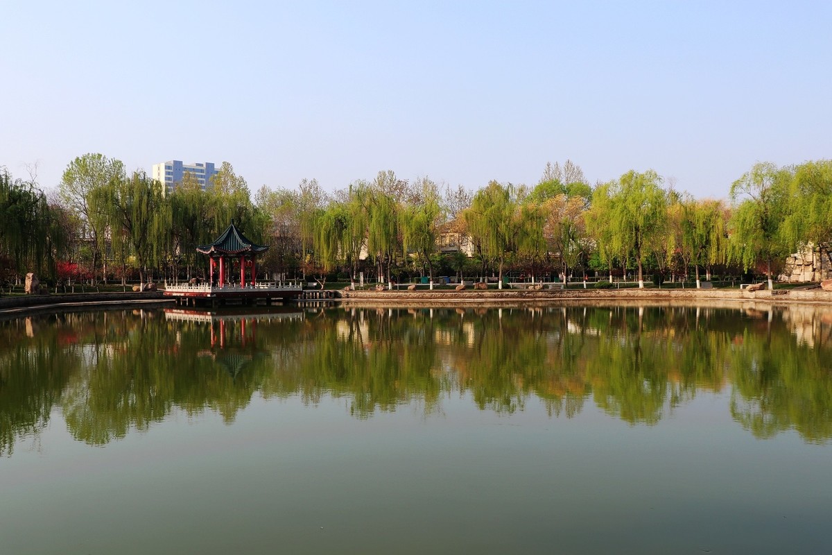 雨后初晴，梅花公园春意浓15P