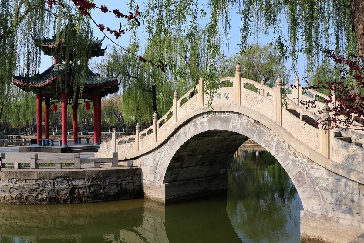 雨后初晴，梅花公园春意浓15P