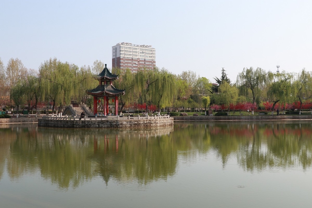 雨后初晴，梅花公园春意浓15P