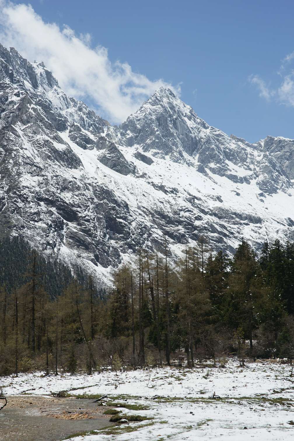 五月的雪山（四川毕棚沟）