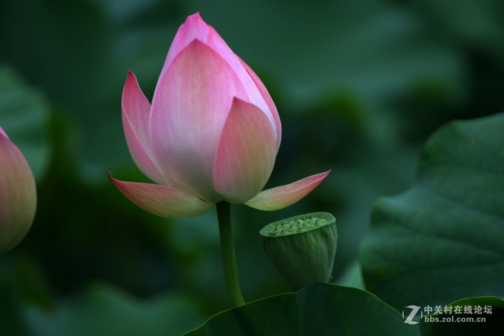 小区拍荷