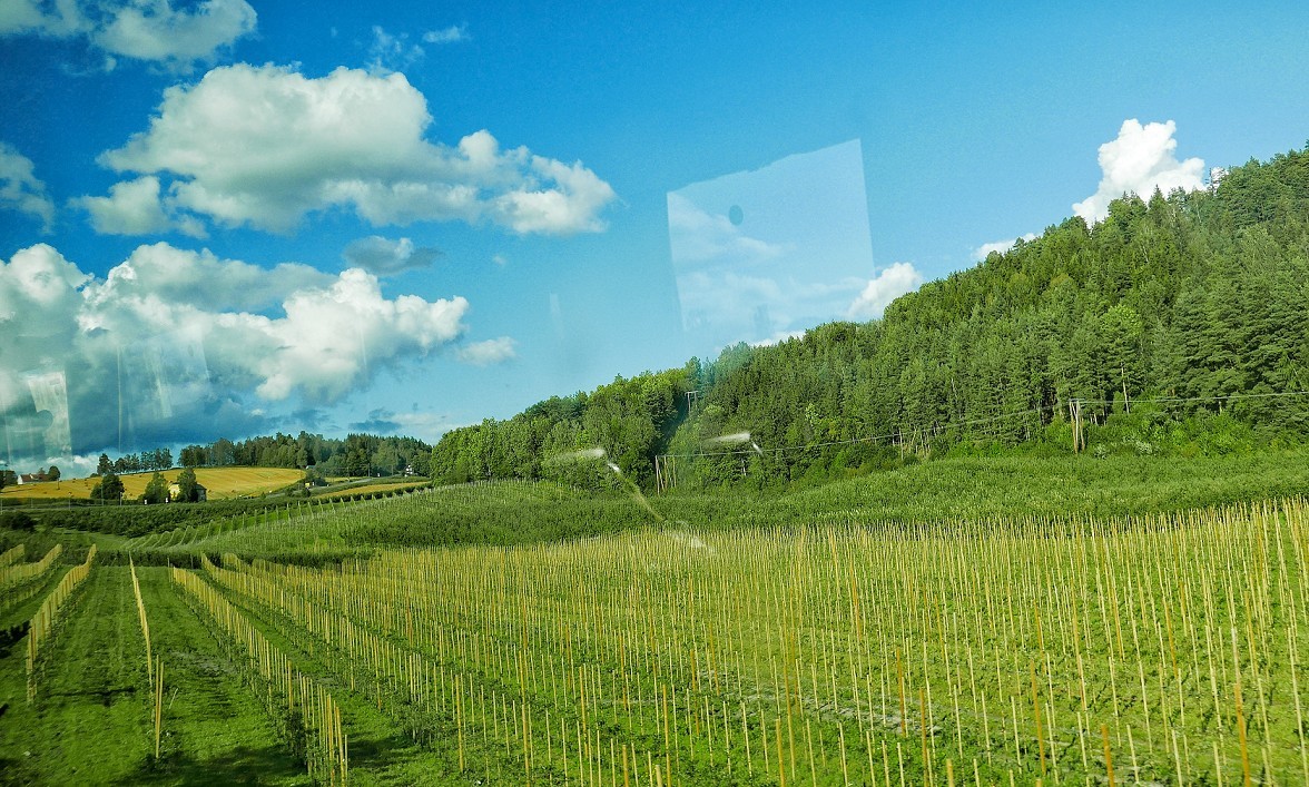 一组旅游《欧洲风景》他们这是生活在画中，疑惑国外摄影作画的大师真实水平。