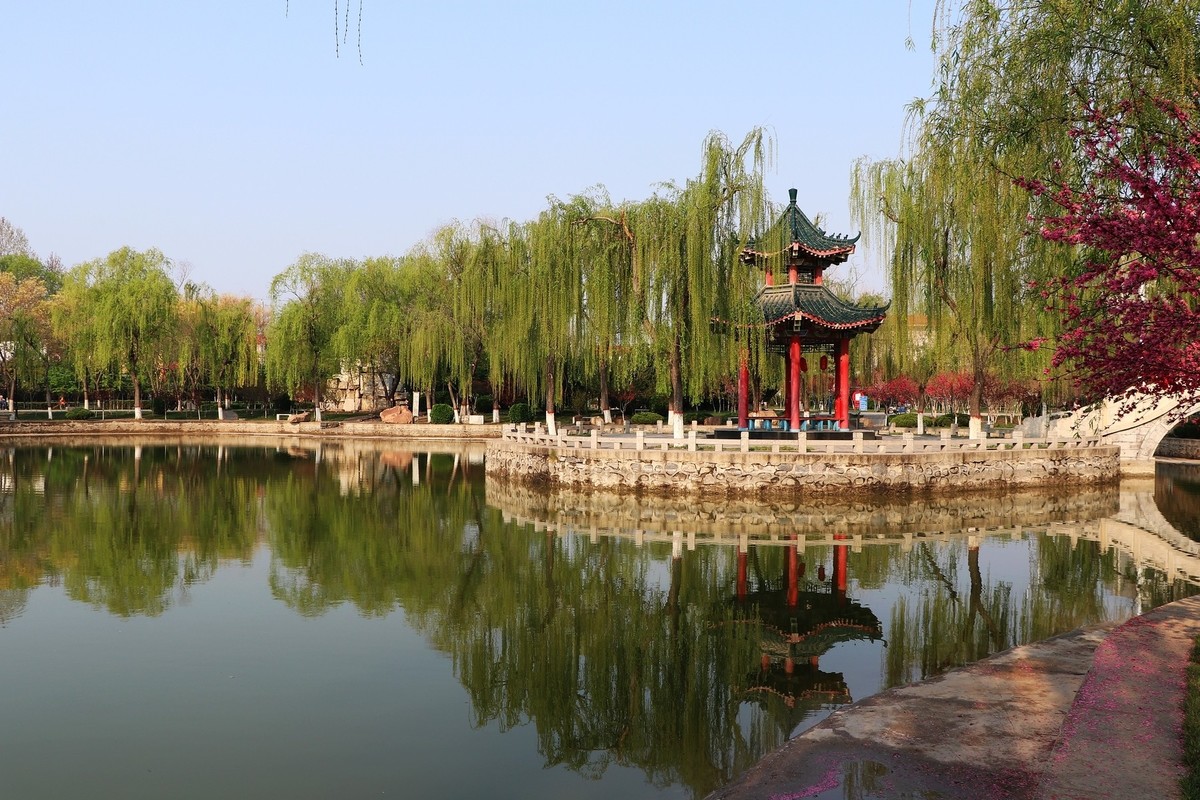 雨后初晴，梅花公园春意浓15P