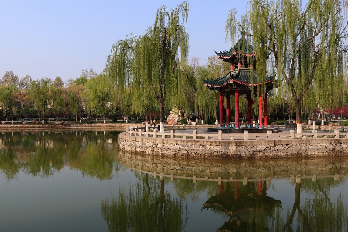 雨后初晴，梅花公园春意浓15P