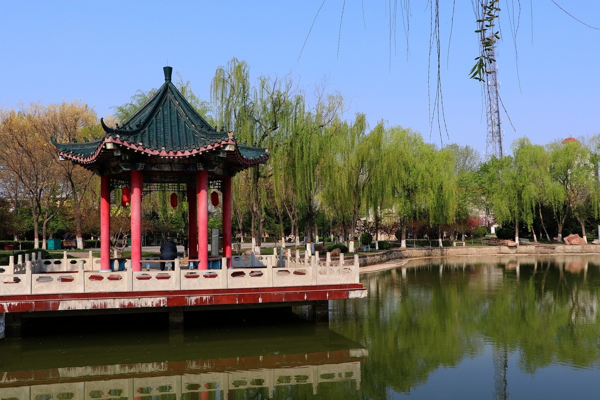 雨后初晴，梅花公园春意浓15P