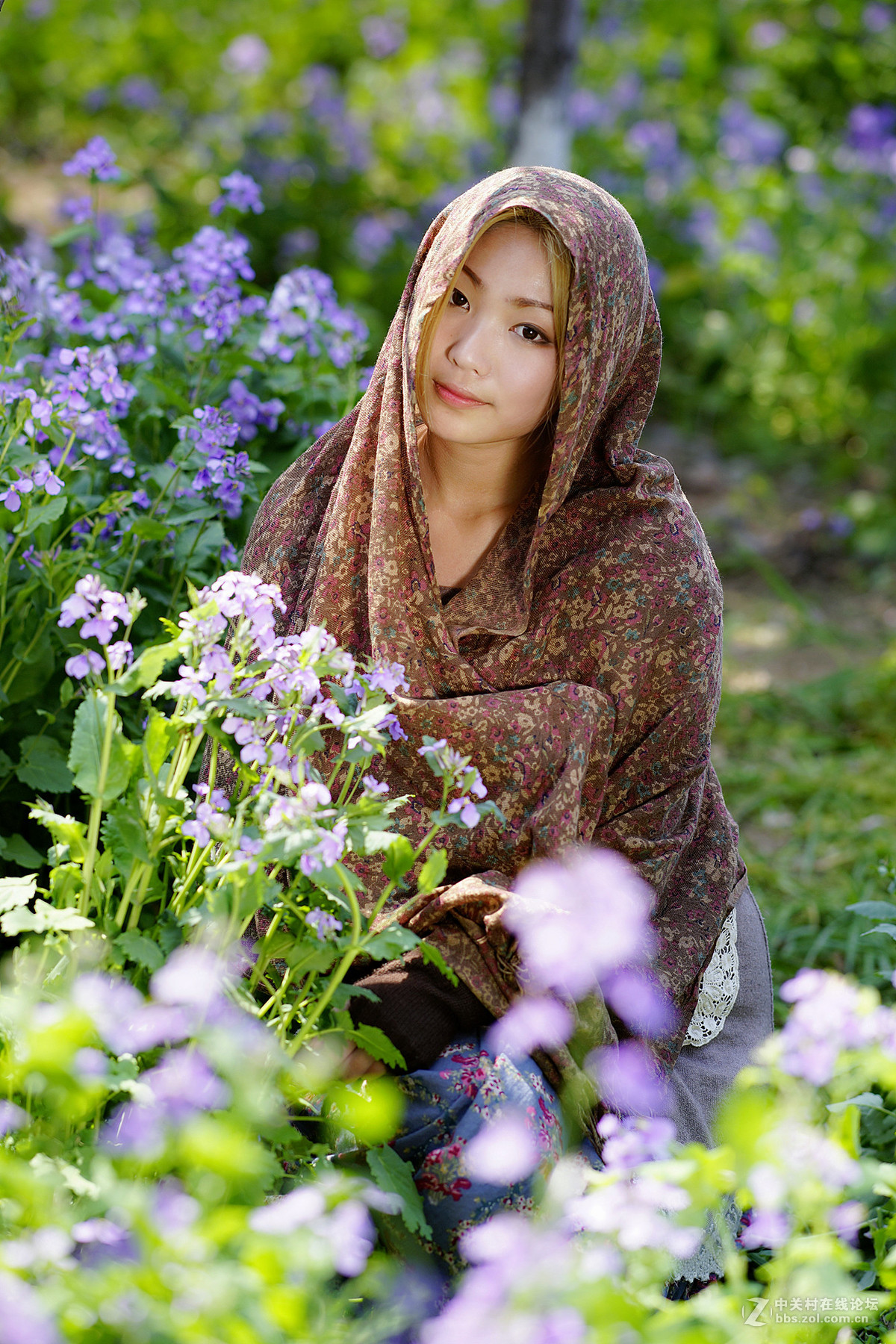 等一场春，行走在心上 （老片新发）