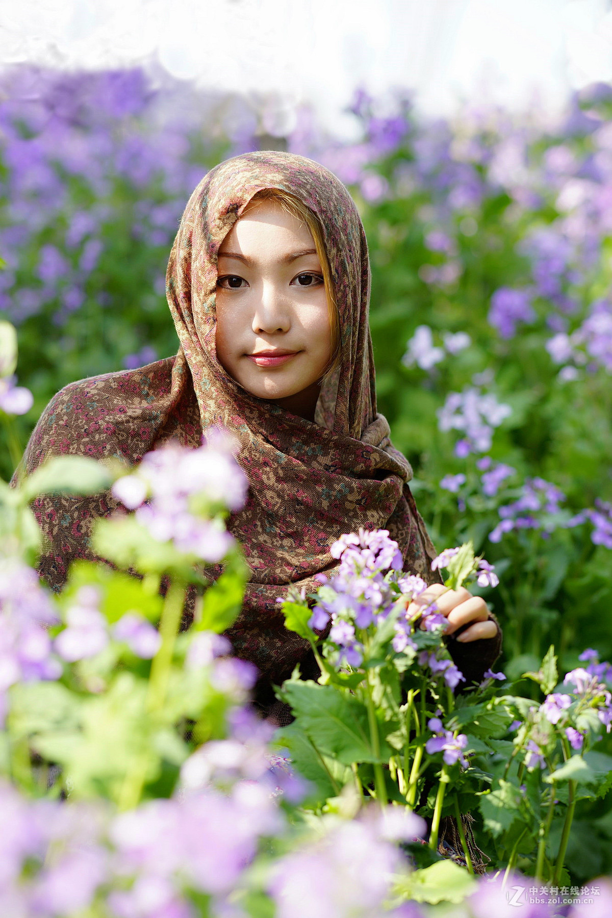 等一场春，行走在心上 （老片新发）