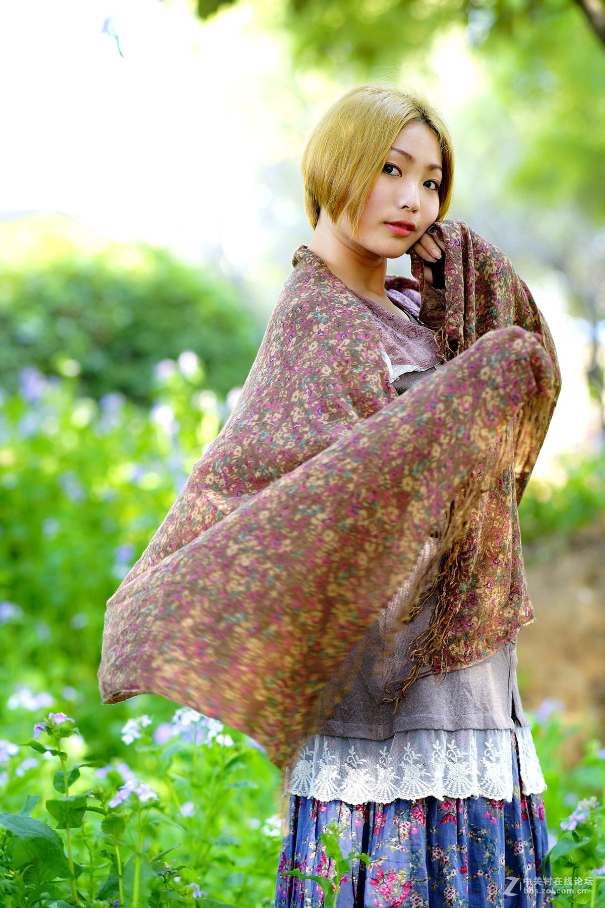 等一场春，行走在心上 （老片新发）