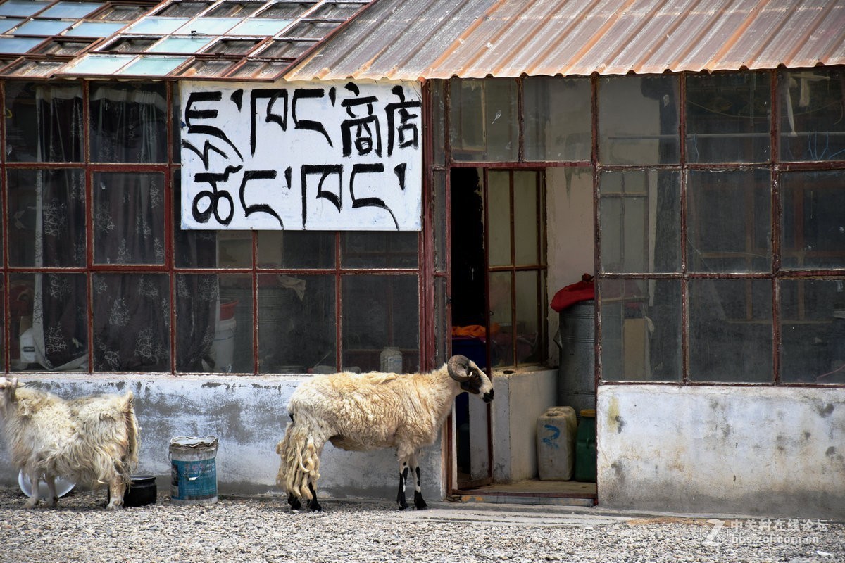 圣湖---玛旁雍错【续】