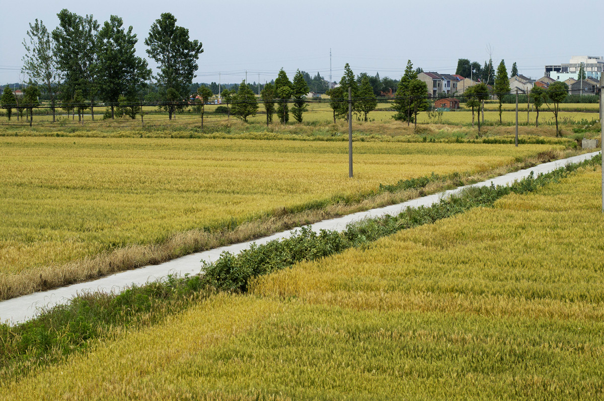 d40还在用老家照片一组